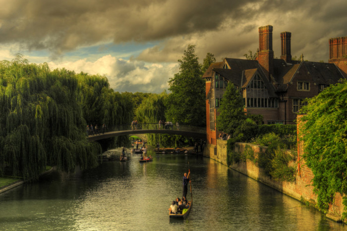 Eğitimin, Doğanın, Tarihin Ortak Adı; Cambridge