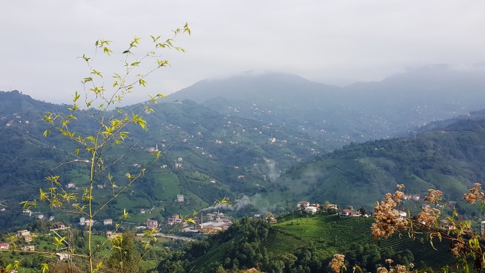 Çaykur ile Rize yolculuğu